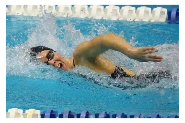 米兰纽约城与波兰特伐木的对决谁能在城市与自然之间找到平衡